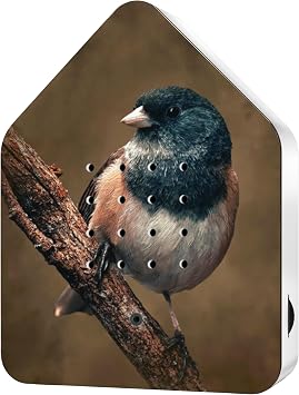 RELAXOUND Original Birdybox American Robin - Modern Nature Sound Box - Relaxing Cheerful Bird Concert - Motion Sensor with Sound - Relaxing Tool