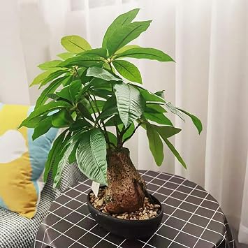 Artificial Plants Indoor, Fake Plants Indoor, Potted Faux Plant, with Realistic Leaves, for Home, Office, Kitchen, Bedroom(Small)