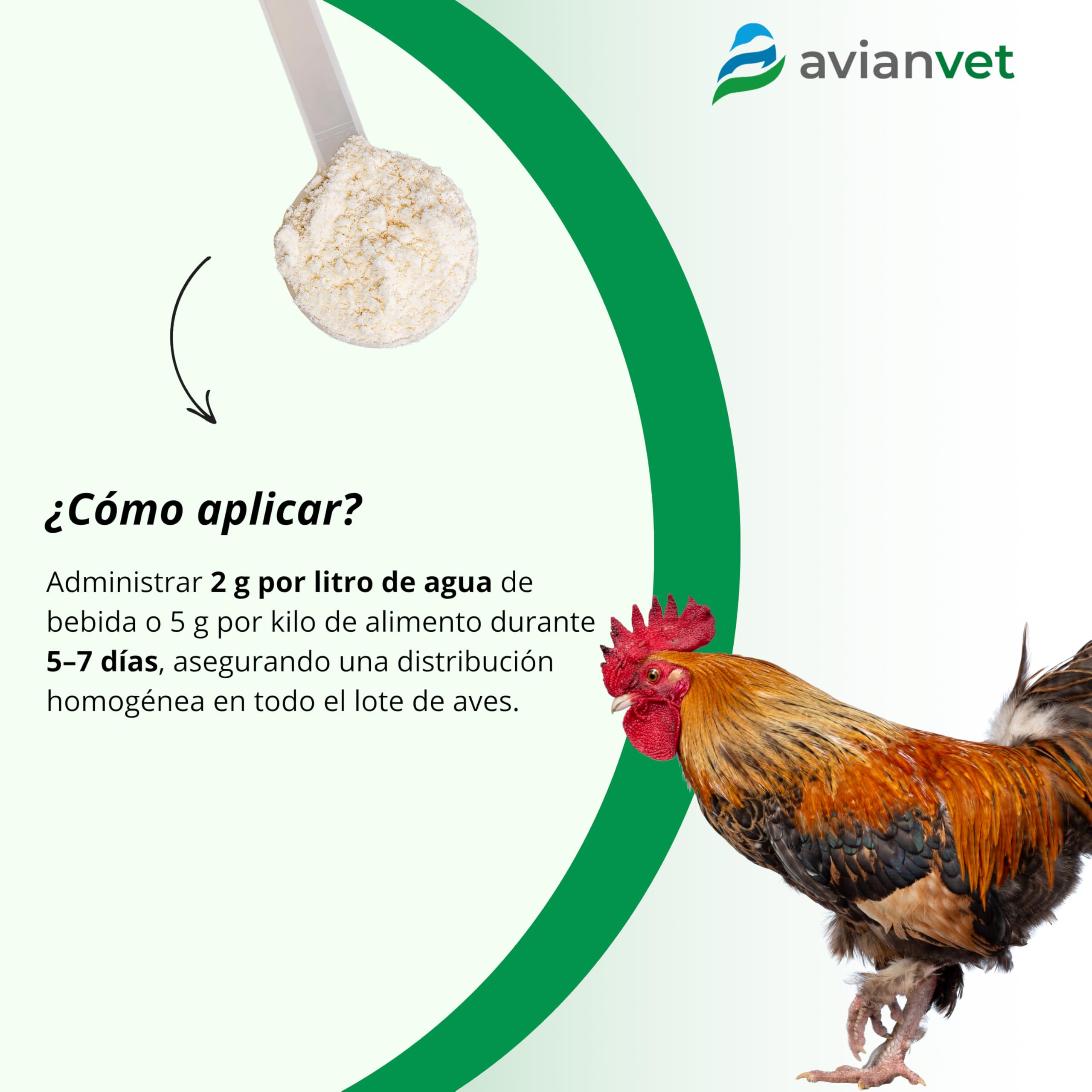 Pro Bio Flora Gallinas | Probiótico para Aves de Corral con Enterococcus faecium | Flora Intestinal, Salud Digestiva y Bienestar en Aves de Corral 500 g — view 3