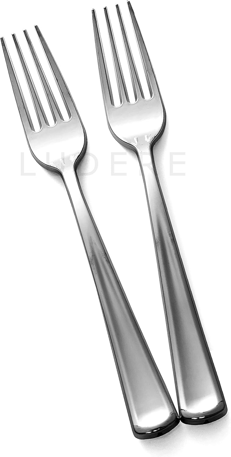 Ludere Elegant Disposables 50 Piece Premium Silver Plastic