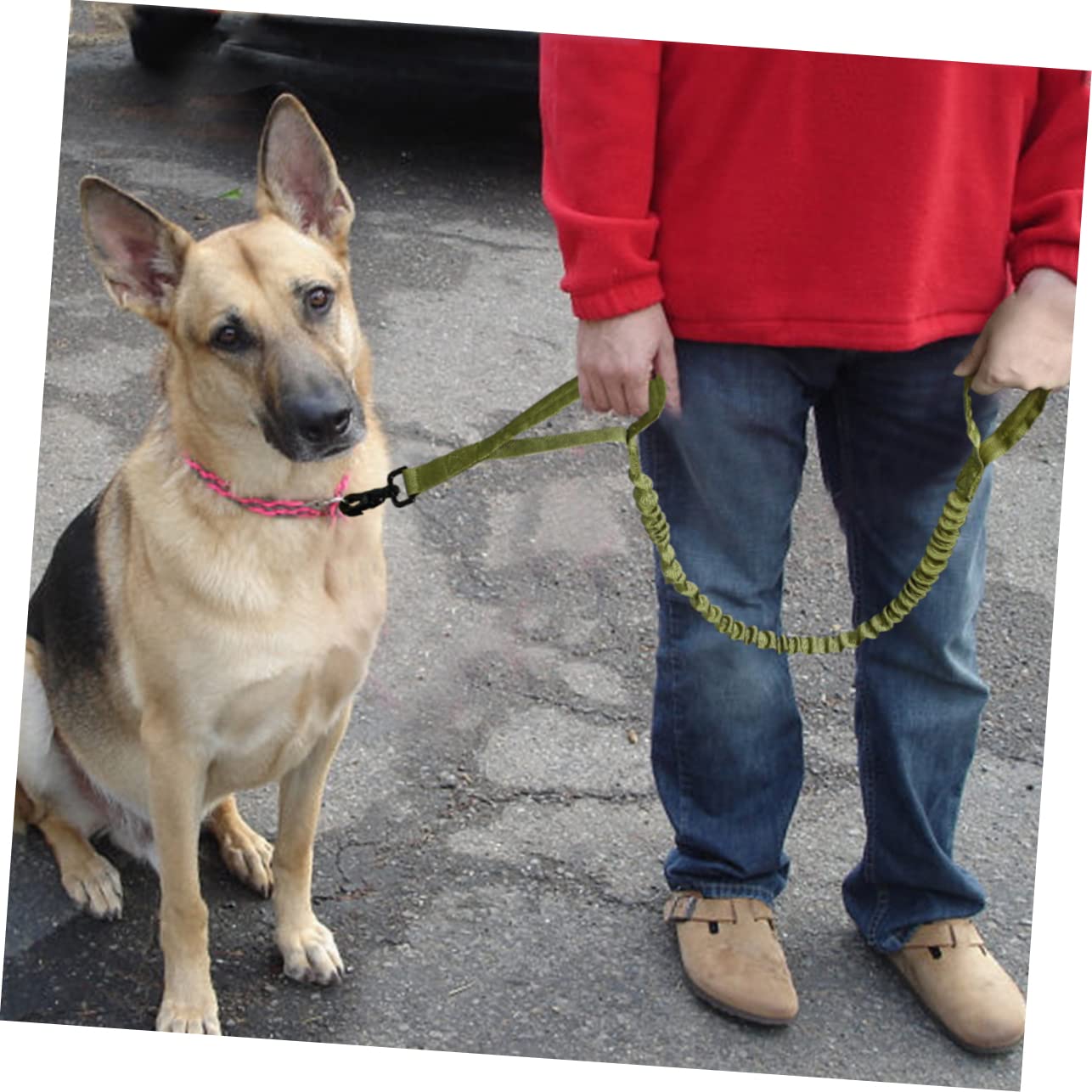 Kisangel 3pièces Laisse Entraînement pour Chien Réglable Nylon Élastique Couleur Verte Parfaite pour Formation Activités Extérieures