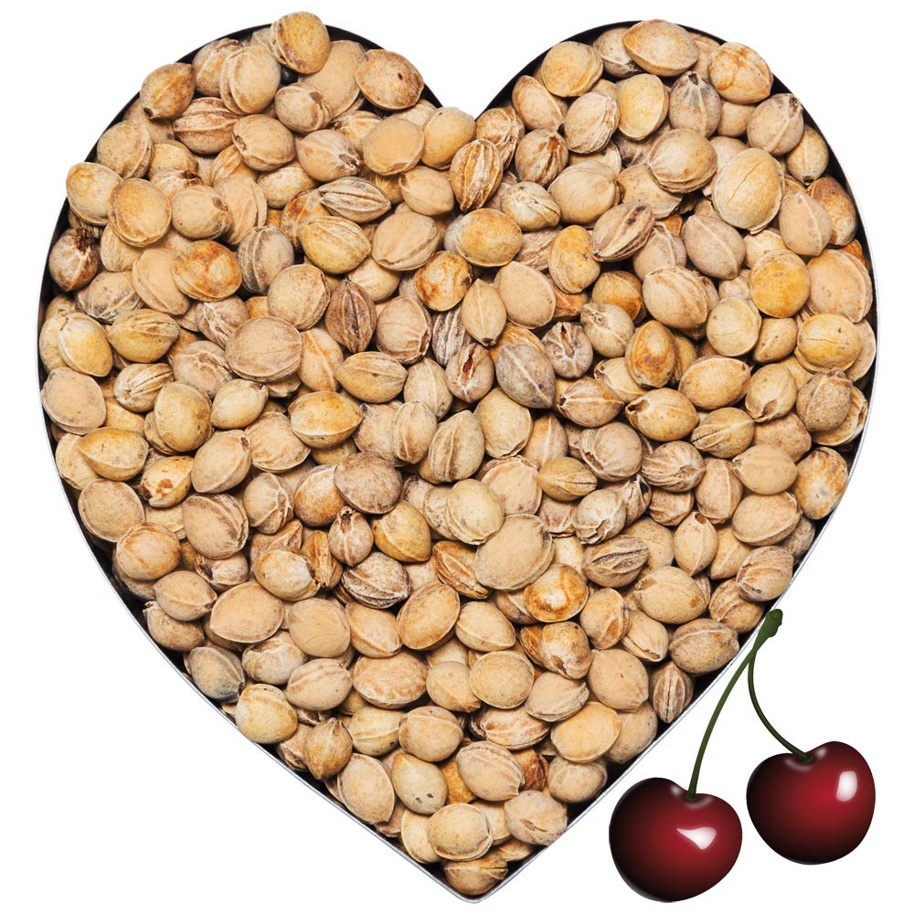 Noccioli di ciliegia Imbottiture per cuscini naturali cervicale, mal schiena Selezione 1-30 kg DML, Peso:30 kg