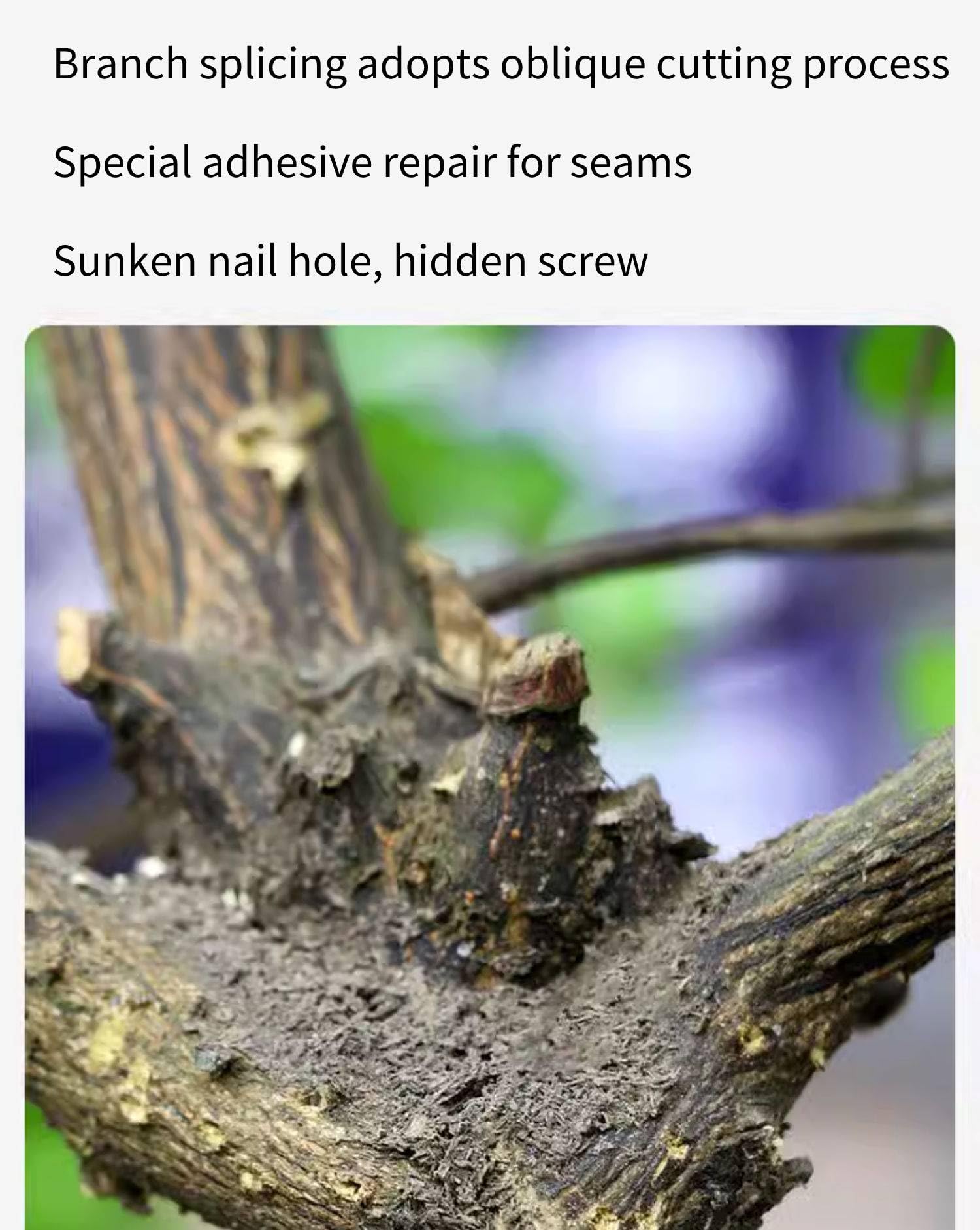 Bell Tree konia pijany drewno drzewo drzewo nordyckie w pomieszczenia Fałszywa Zielona roślina