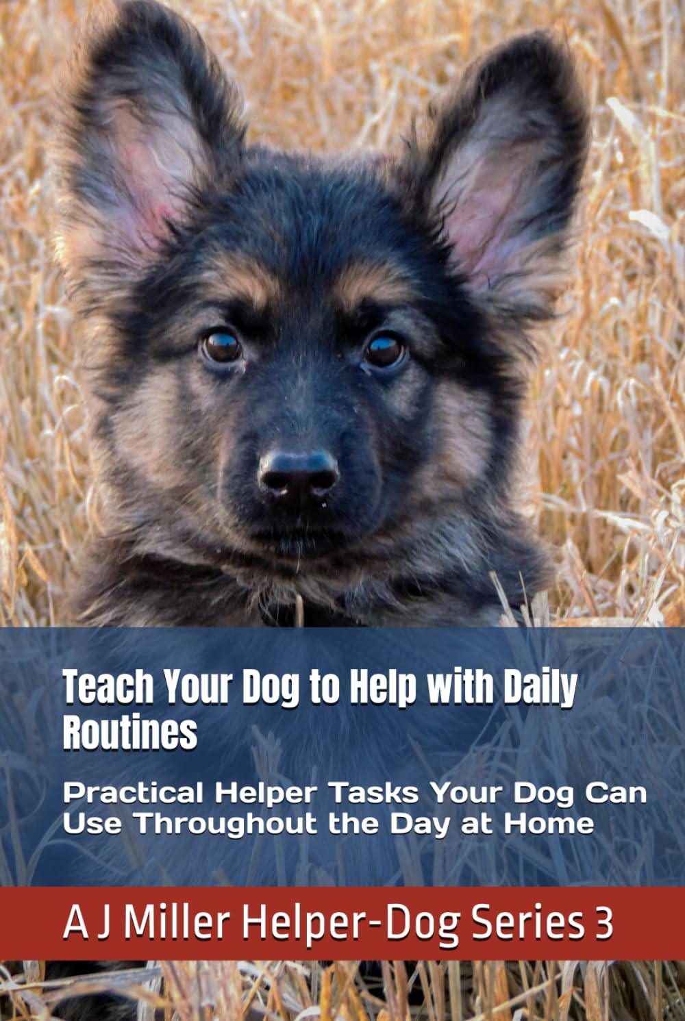 Teach Your Dog to Help with Daily Routines: Practical Helper Tasks Your Dog Can Use Throughout the Day at Home (Helper Dog Series)