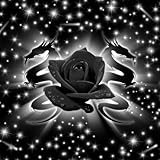 Black Dragon Rose
