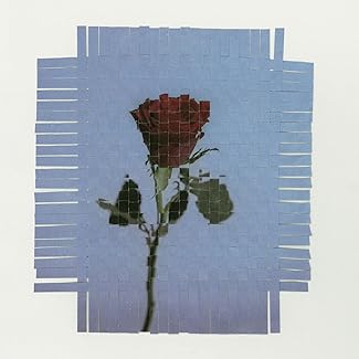 [Single] 由薫 – The rose (2025.10.22/MP3+Hi-Res FLAC/RAR)