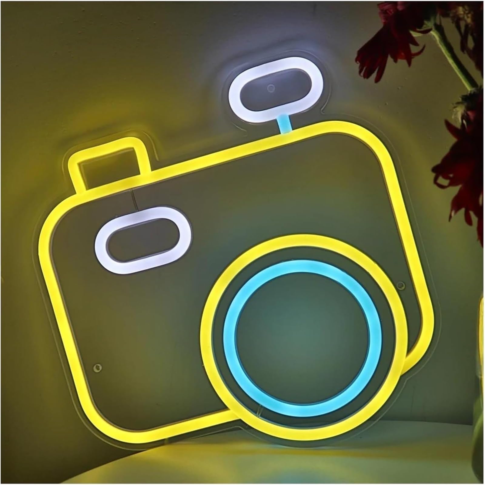 Regalo creativo per insegne al neon Per lampada al per neon prestito parola Fotocamera per insegna per