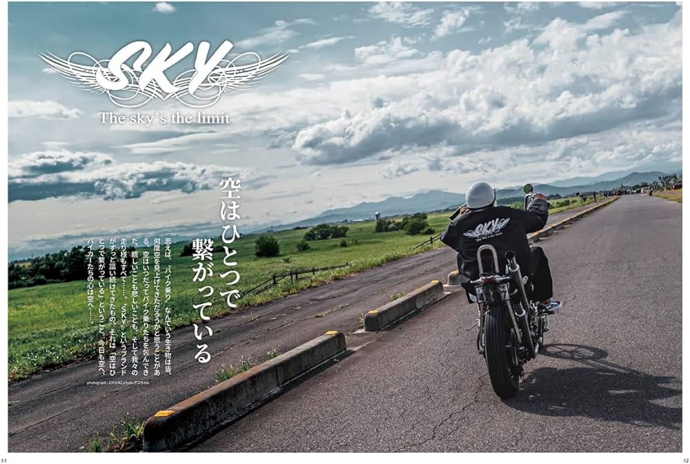 Amazon.co.jp: VIBES (バイブズ) 2025年8月号 (vol.382) : バイブズ