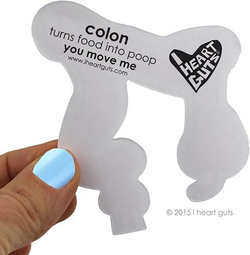 Miniatura 3 de I Heart Guts Pegatinas de pila de colon  15 calcomanías de colon  Divertido paquete de calcomanías de vinilo de órgano digestivo para laptops,