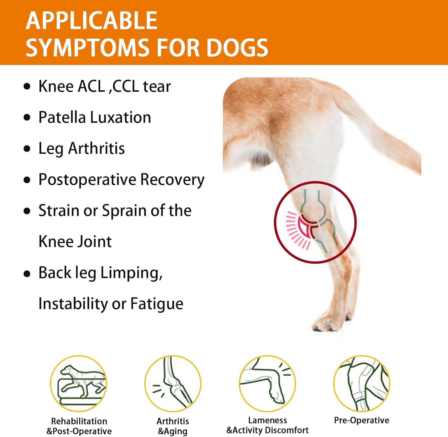 Dog Knee Brace for Torn ACL, CCL Hind/Back Leg Support with Harness & Anti-Slip Straps Adjustable Fit, Soft & Breathable, Post Surgery & Injury Recovery Hand Washable Size S