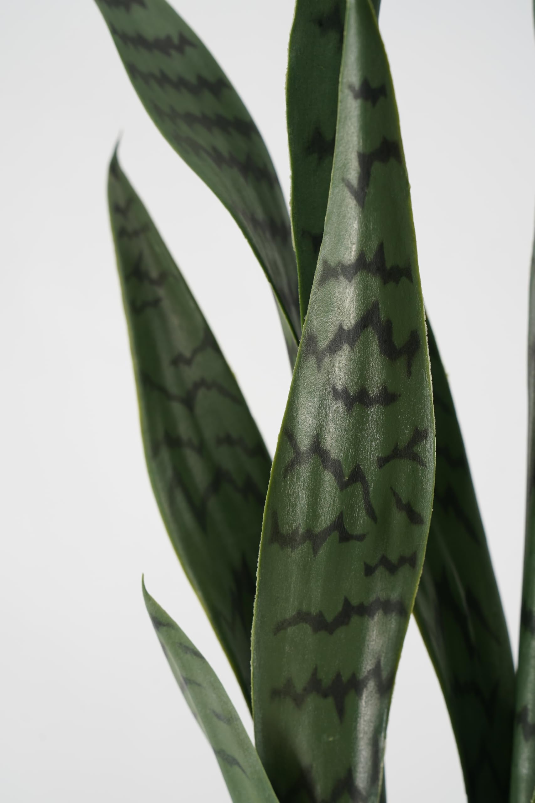 Sansevieria Artificiale Pianta Grassa Sintetica Realistica Foglie in Pvc per Arredare Interni e Attività Commerciali (Saveria - Sansevieria 66 cm)