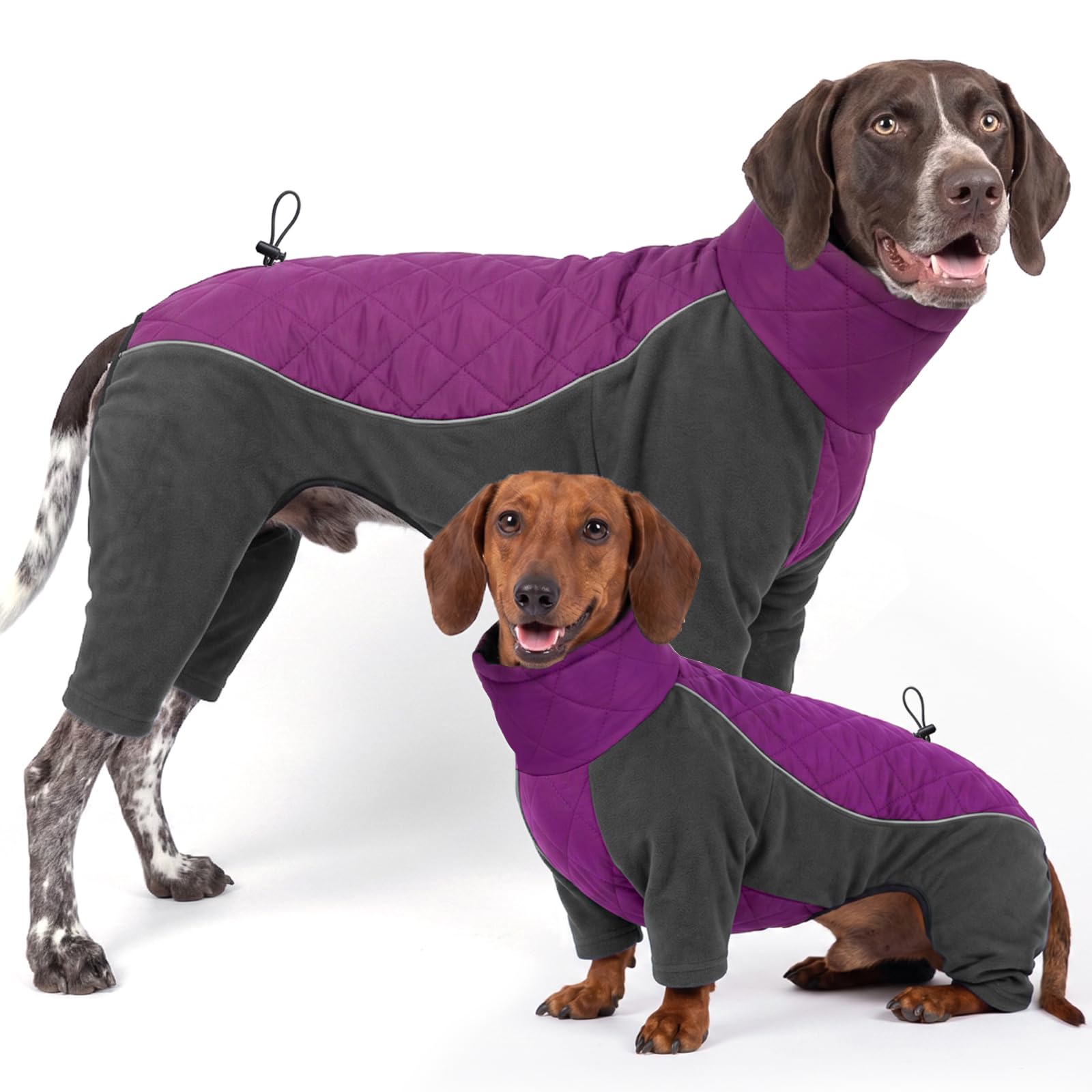 HEYWEAN Manteau Chien à Pattes Coupe-Vent Réfléchissant Ajustable Hiver | Manteau chien à pattes coupe-vent, réfléchissant et ajustable pour petits et moyens chiens en hiver.