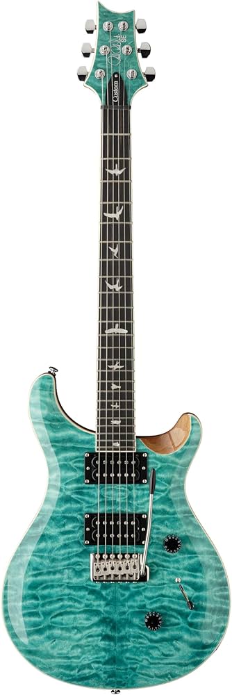 Amazon | SE Custom24 Quilt Turquoise | エレキギター | 楽器・音響機器