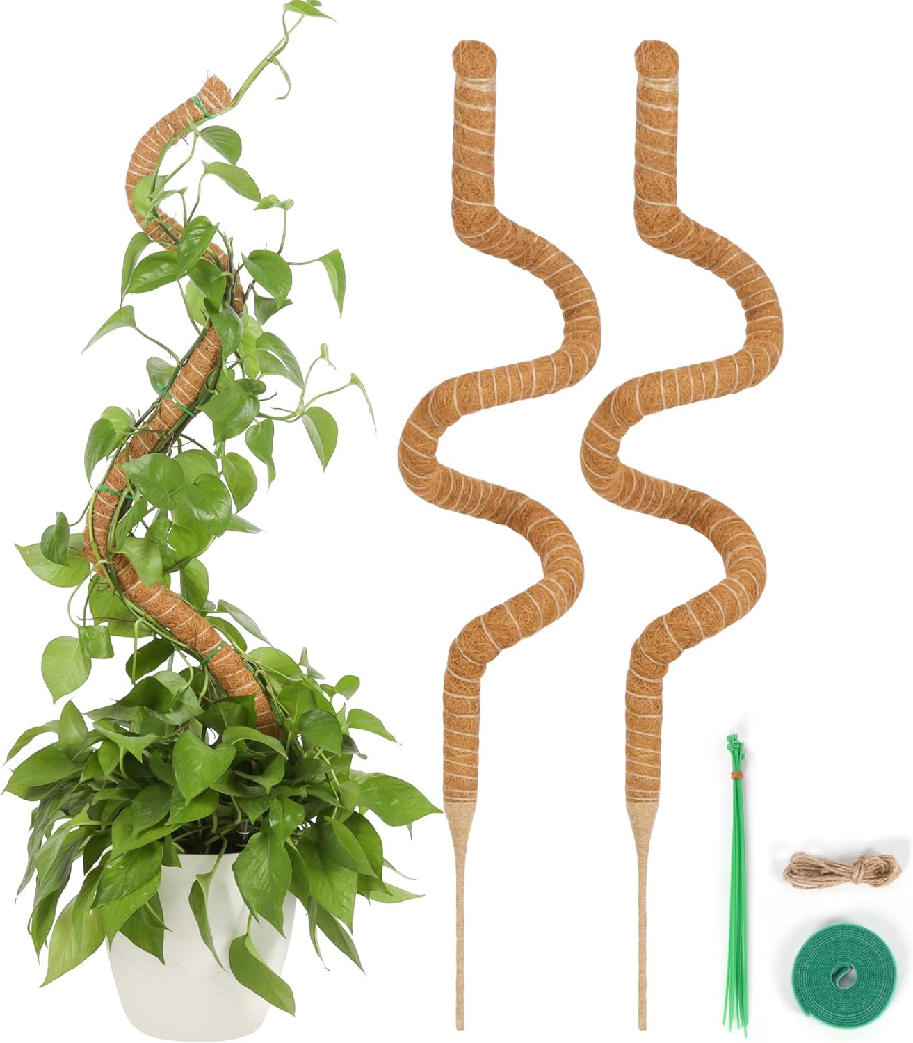 T4U 45 Inch 2 Pack Tall Monstera Moss Pole for Climbing Plants, Cheese