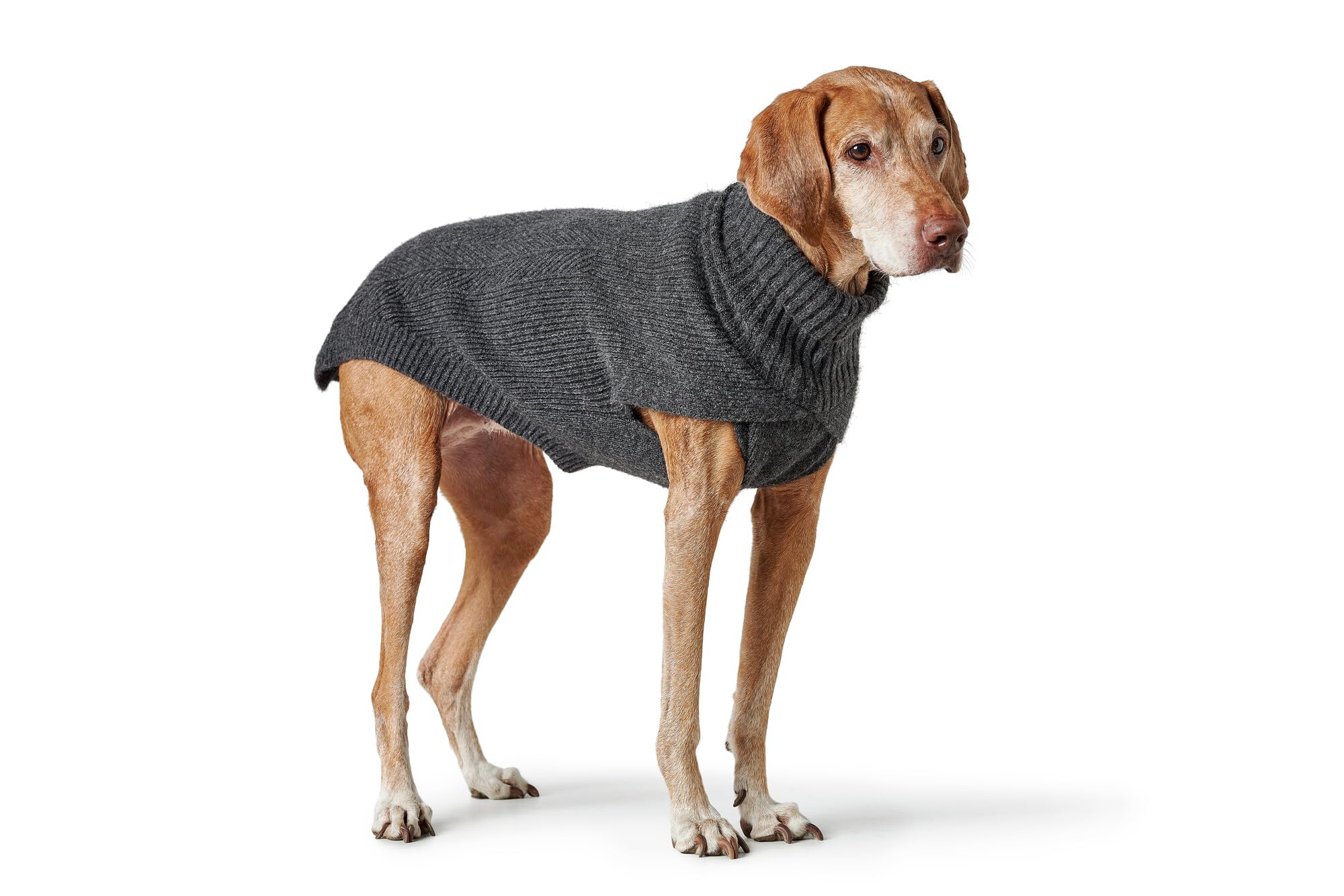 Hunter Hundepullover GENF, Farbe: anthrazit, Strickpullover für kalte Tage, weich, anschmiegsam, recyceltes Polyester, waschbar, umgschlagbarer Halskragen, hohe Elastizität, Größe: 30