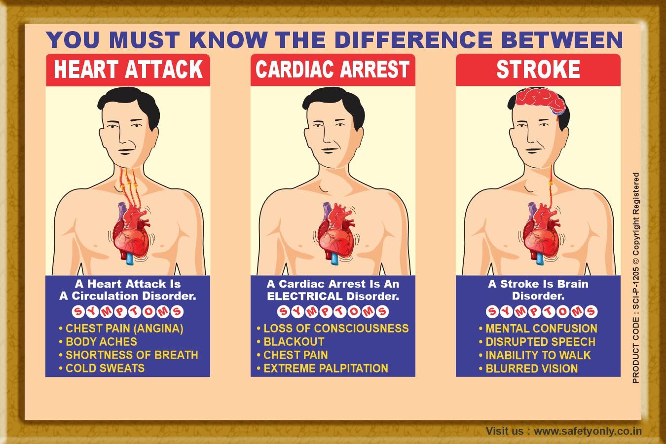 Educational Health Wall Art | Heart Attack vs Cardiac Arrest vs Stroke Symptoms Poster | Medical Awareness Chart for Hospital, Clinic, School & Office (Multicolor, 2x3 Feet, Eco Vinyl - Unframed)-image-26