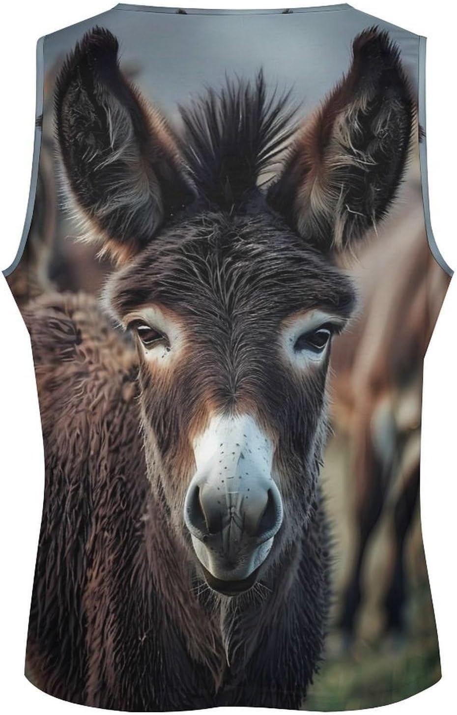 Donkey Men's Tank Tops Sleeveless Muscle Shirts for Men Lightweight Vest Crew Neck T-Shirts