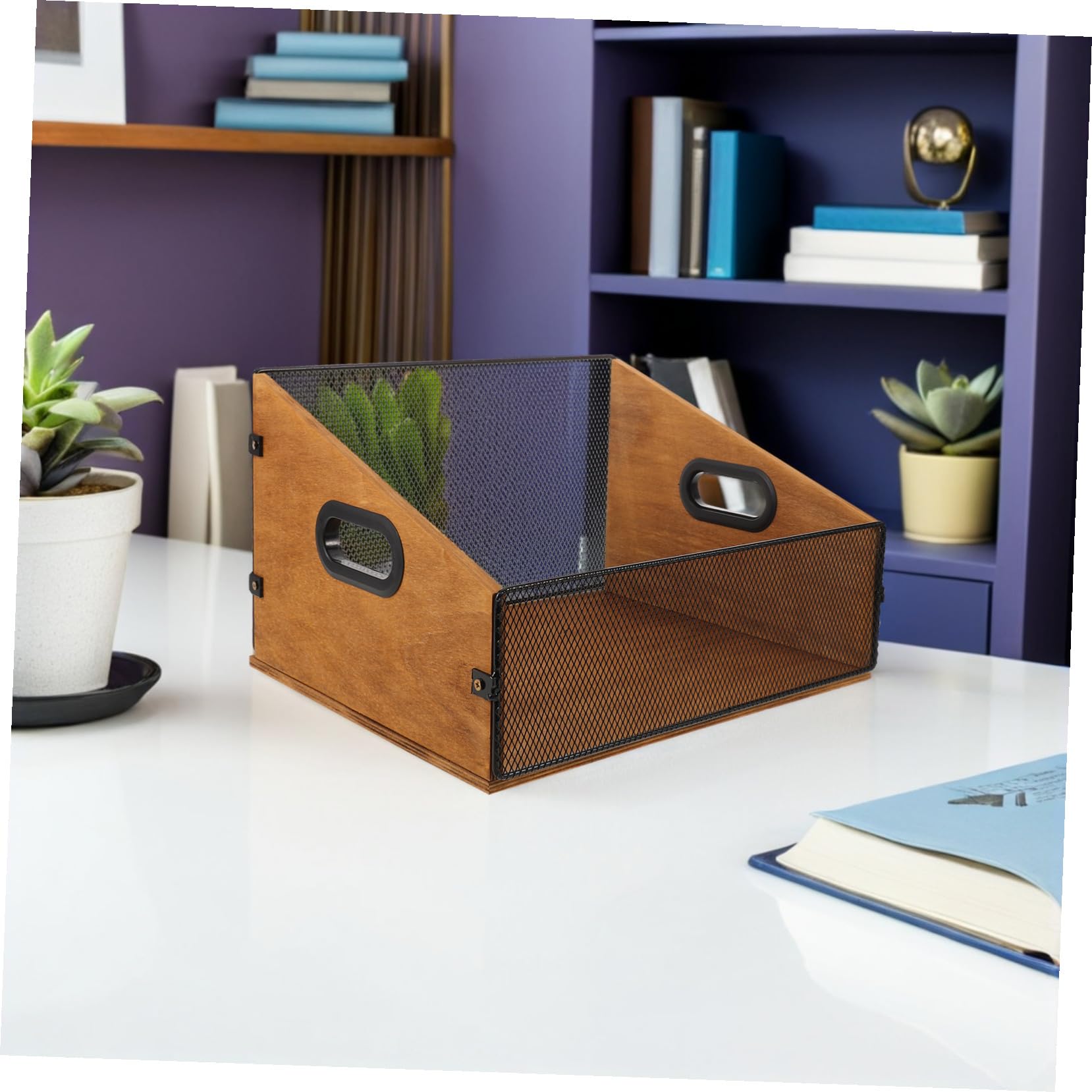 Scatola Porta Vinili in Legno con Maniglie Ergonomiche Organizer Album e File Finitura Liscia Protettiva per Dischi e Libri Cassa Portatile per Media
