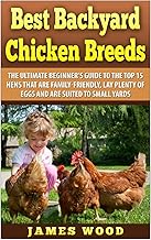 Best Backyard Chicken Breeds: The Ultimate Beginner's Guide to the Top 15 Hens t