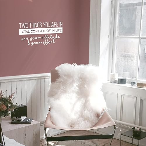 Calcomanía de vinilo para pared, diseño de dos cosas que estás en control total en el esfuerzo de actitud de vida, 13 x 25 pulgadas, cita