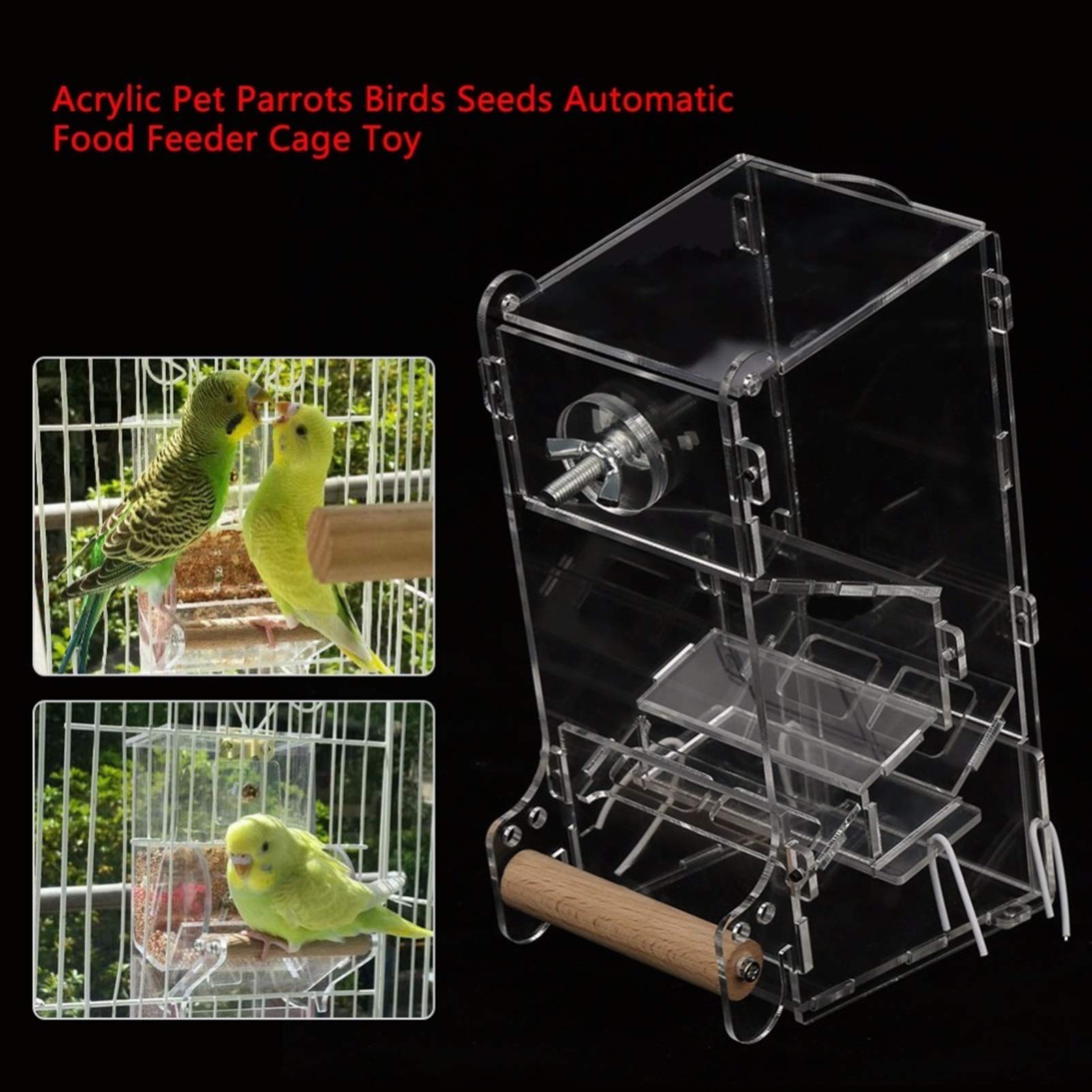 Mangiatoia per uccelli selvatici Finestra per uccelli all'aperto della finestra trasparente del canarino di Lovebird per gli uccelli che si alimentano il contenitore per il cibo Mangiatoia per semi di