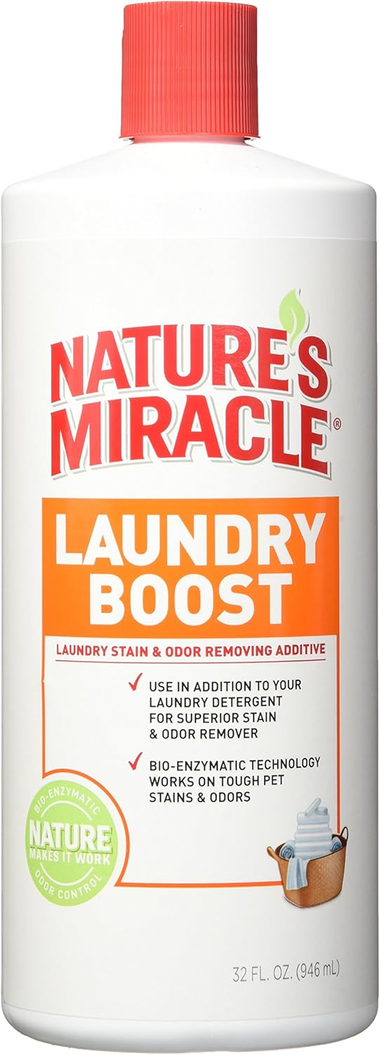 remove dog urine from clothes