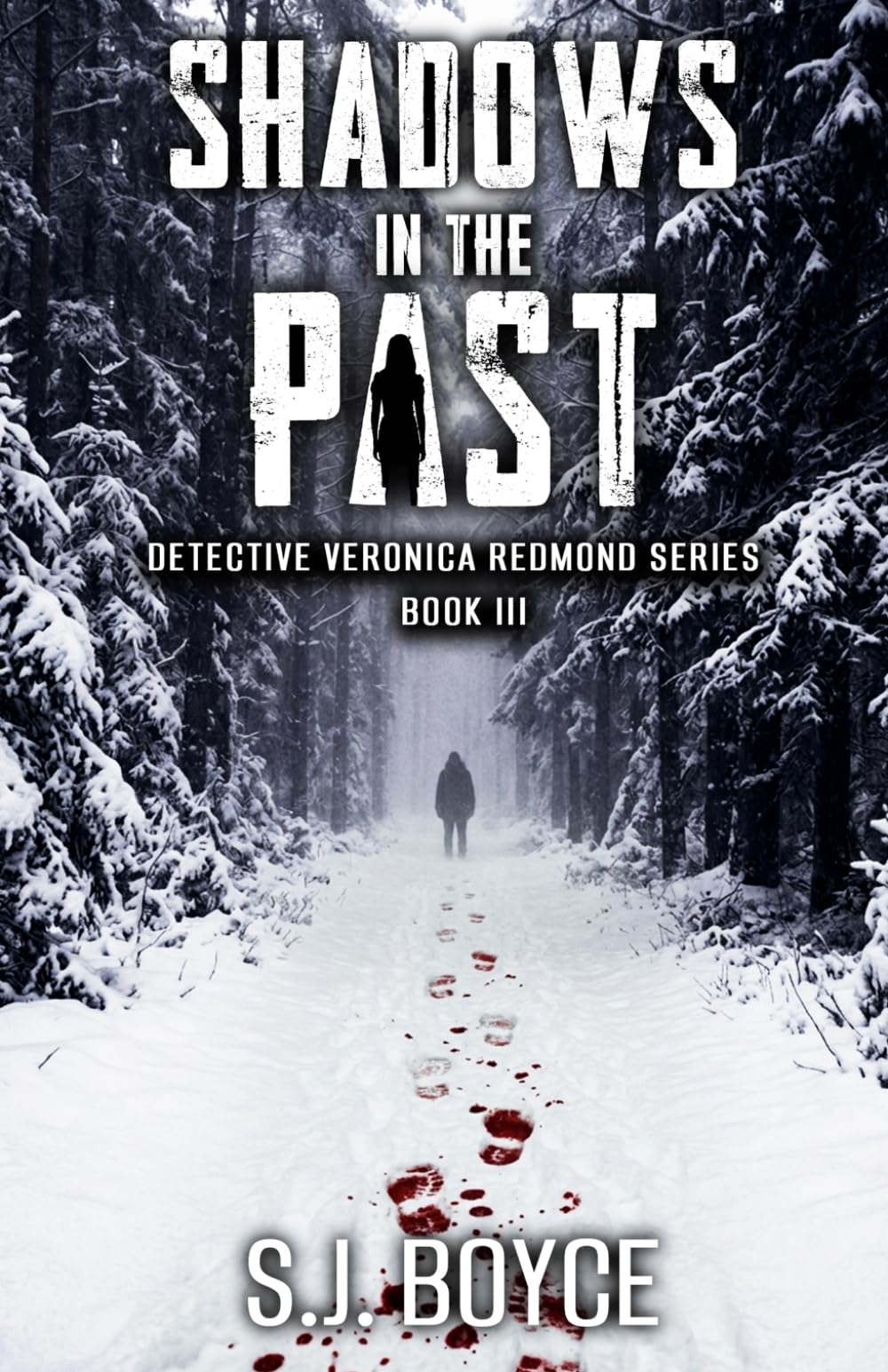 Shadows In The Past: Detective Veronica Redmond Series - Book III