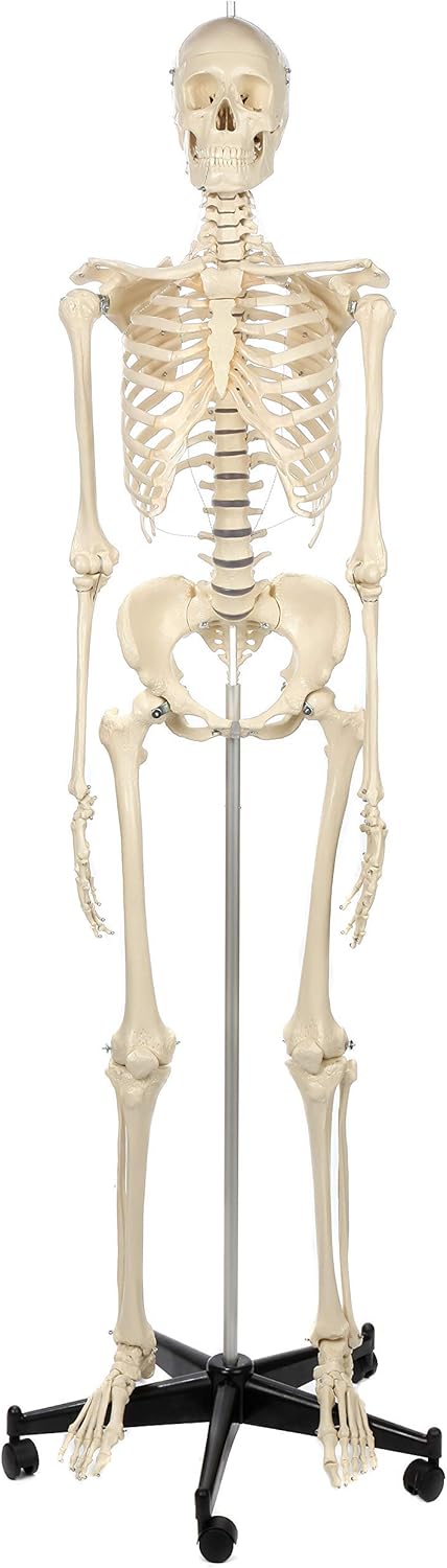 Fohishalar Kaluga yil Qiziqarli porno