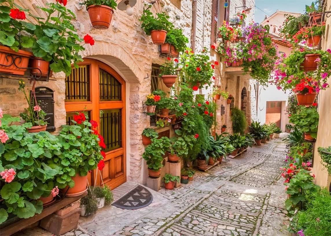 BELECO9x6ft Fabric Italy Town Street Backdrop for Photography Italian Themed Party Decorations Backdrop Tuscany Flowers Street Narrow Alley Italian Background Birthday Wedding Photo Studio Props