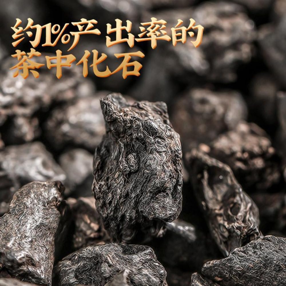 Thé Vieilli Fossile "Suiyinzi" Au Parfum Gluant Thé Mûr Du Yunnan Pu'er 500g / 17,64oz Thé Fossile N ° 2