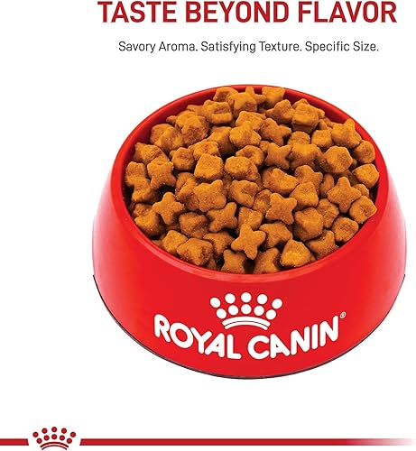 Miniatura 3 de Royal Canin German Shepherd - Alimento seco para perros adultos mayores de 5 años, bolsa de 28 libras
