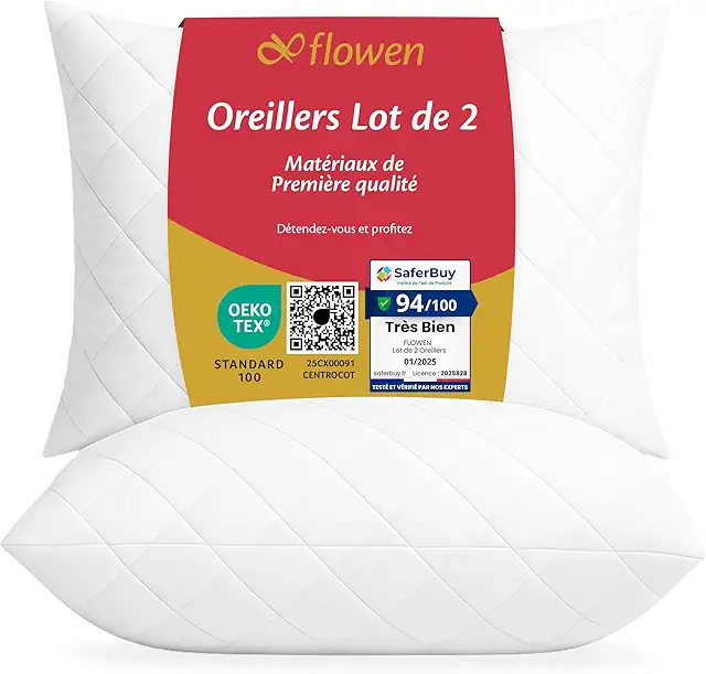 Oreiller 50x70 Lot de 2 - Anti-Allergique et Rafraîchissant - Coussins Décoratifs