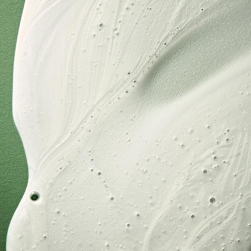 Miniatura 5 de ALFAPARF MILANO Benvoleo - Champú de recuperación para cabello dañado, limpio, vegano y sostenible, champú sin sulfato, repara, reconstruye, protege