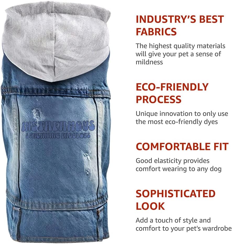 Instafamous Dog Denim Jacket - Freaking Fabulous - Quote Design - XL