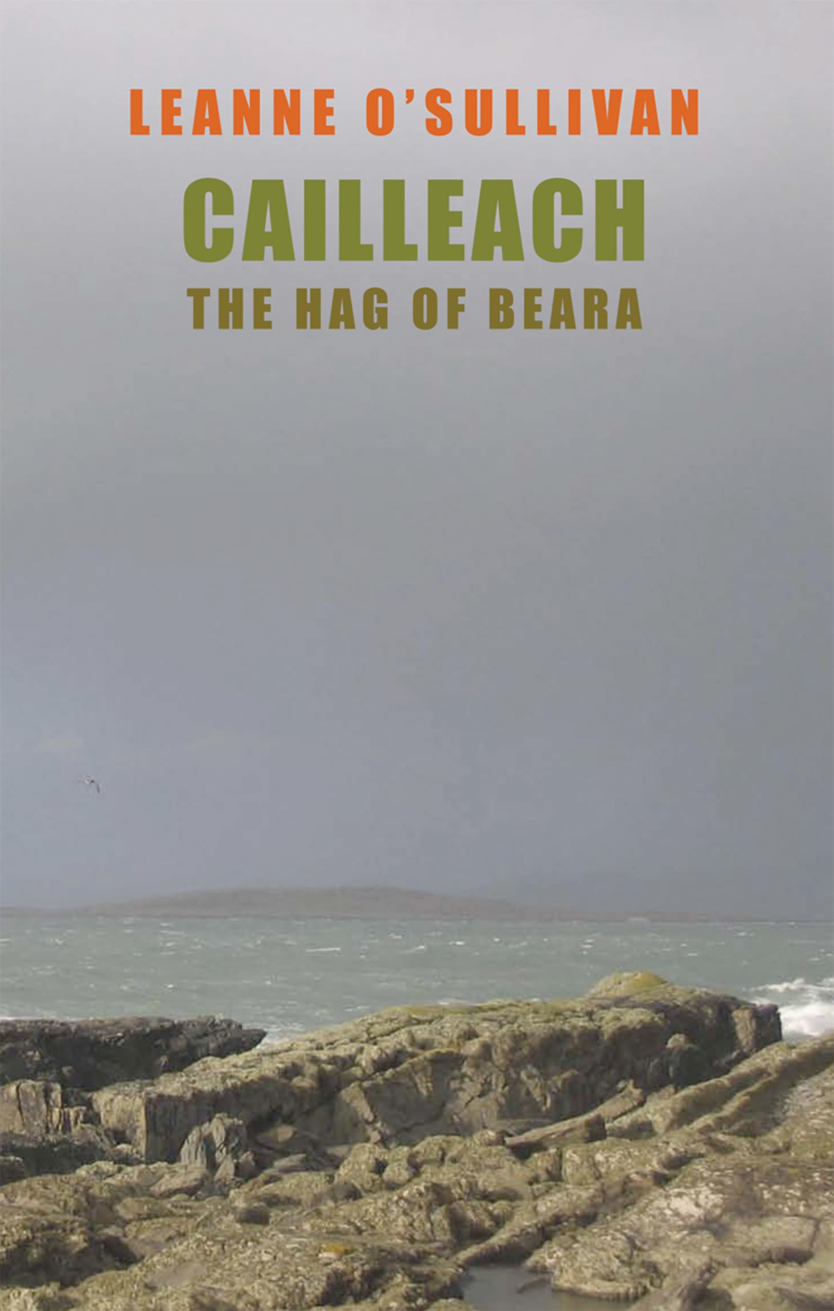 Cailleach by Leanne O'Sullivan (Paperback Book)