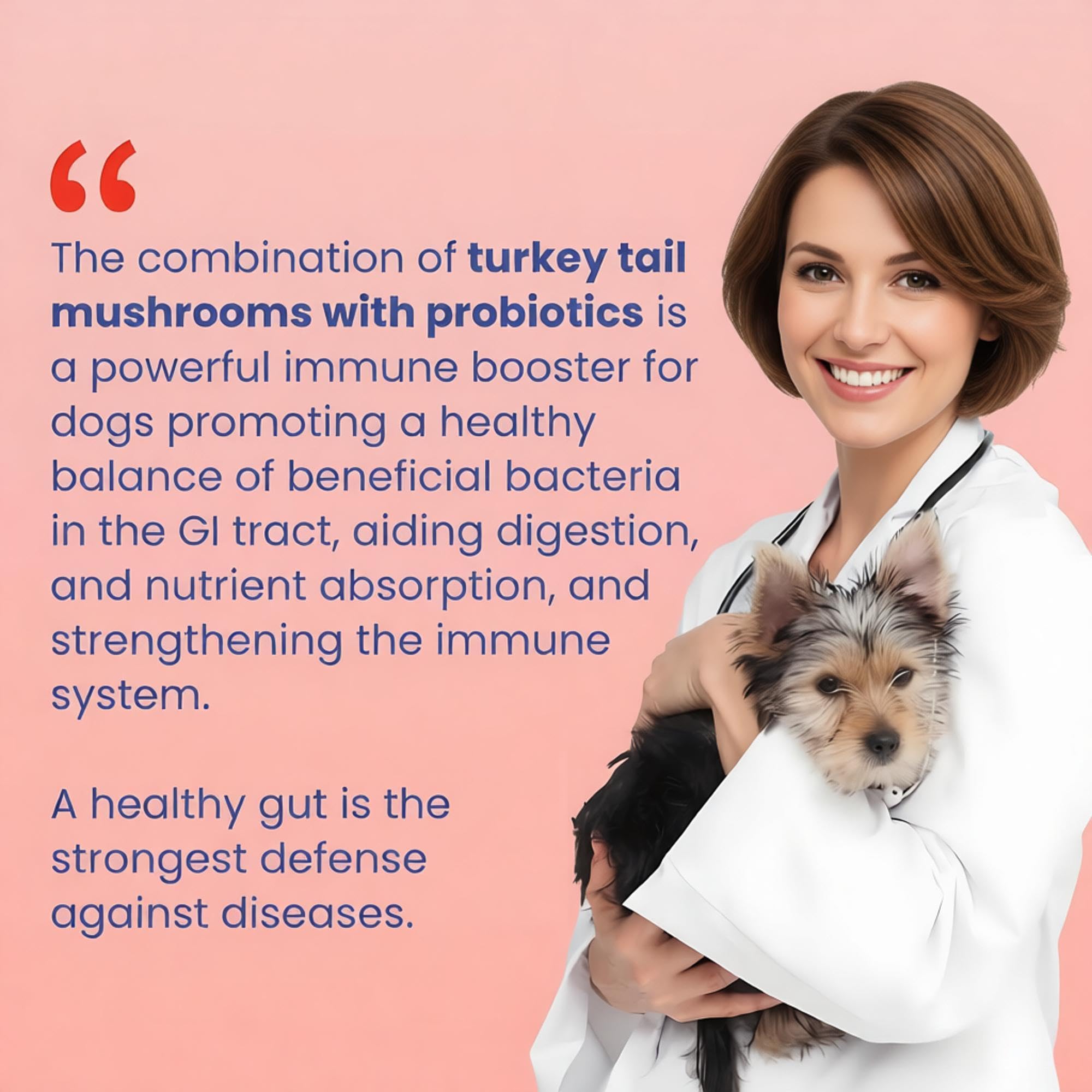 Hongos de cola de pavo para perros - Tratamiento de lipoma para perros, apoya nódulos y bultos, salud intestinal y del sistema inmunológico, 1 pieza