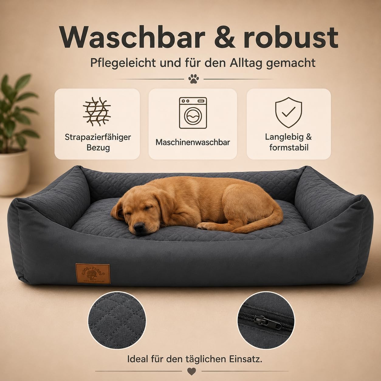Odolplusz XXL Hundebett 100x70cm - Abnehmbarer, wasserdichter Bezug - Bequemer Hundekorb für große & mittelgroße Hunde - Waschbar & Robust