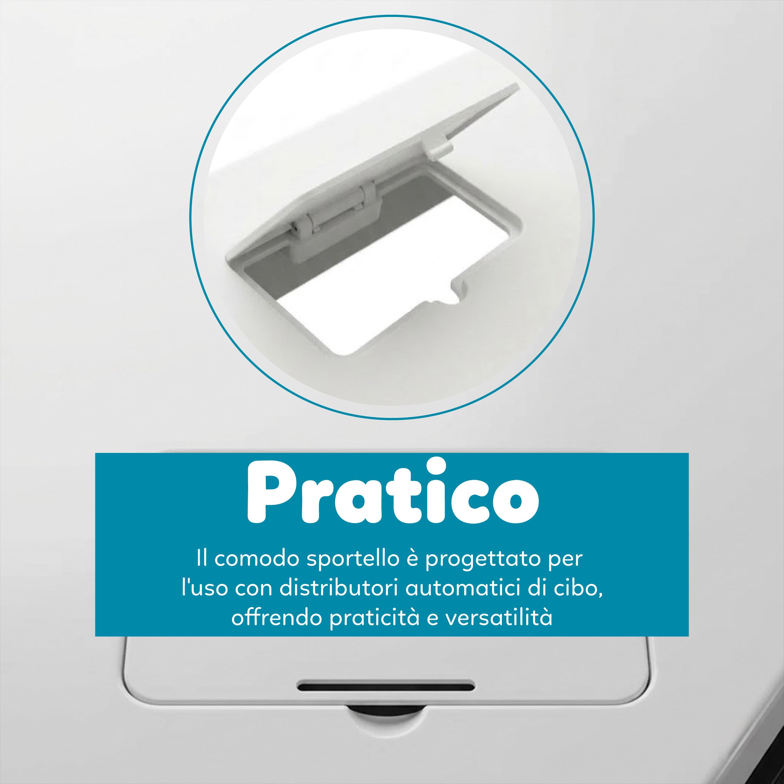 AQPET Acquario in Vetro per Pesci Tropicali Completo di Accessori Filtro Luce Simply, 30 39x22x30 cm 30 Litri, Bianco