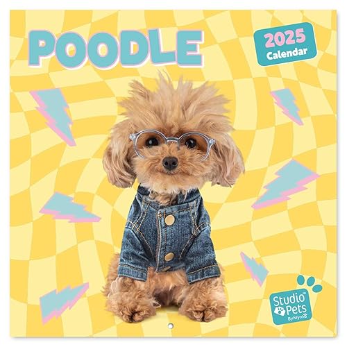 Grupo Erik Wall Calendar 2025 - Poodle | 12" x 12" Square Calendar 2025, Wall Planner 2025, Family Planner Calendar 2025 | Poodle Calendar 2025, Dog Calendar 2025