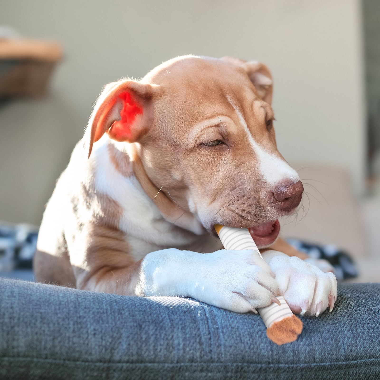 Cigarette Dog Toy, Interactive Cigarettes Dog Toy, Cigar Dog Toy, Plush Pet  Chew Toys, Funny Dog Toys, for Small Medium Breeds : Amazon.com.au: Pet  Supplies