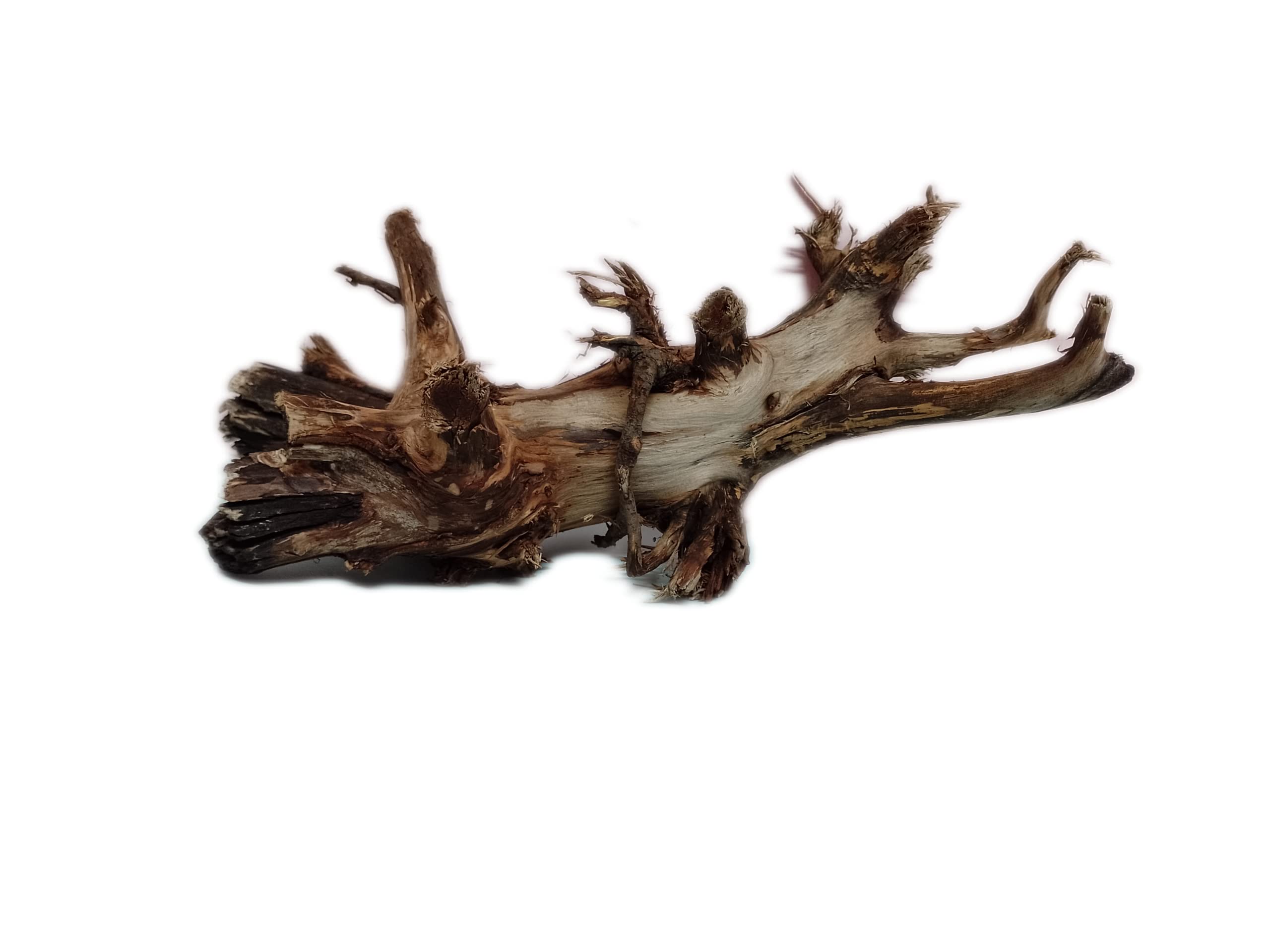 Driftwood for Aquarium 25 Cm Long Driftwood with Branch(Random Shape)