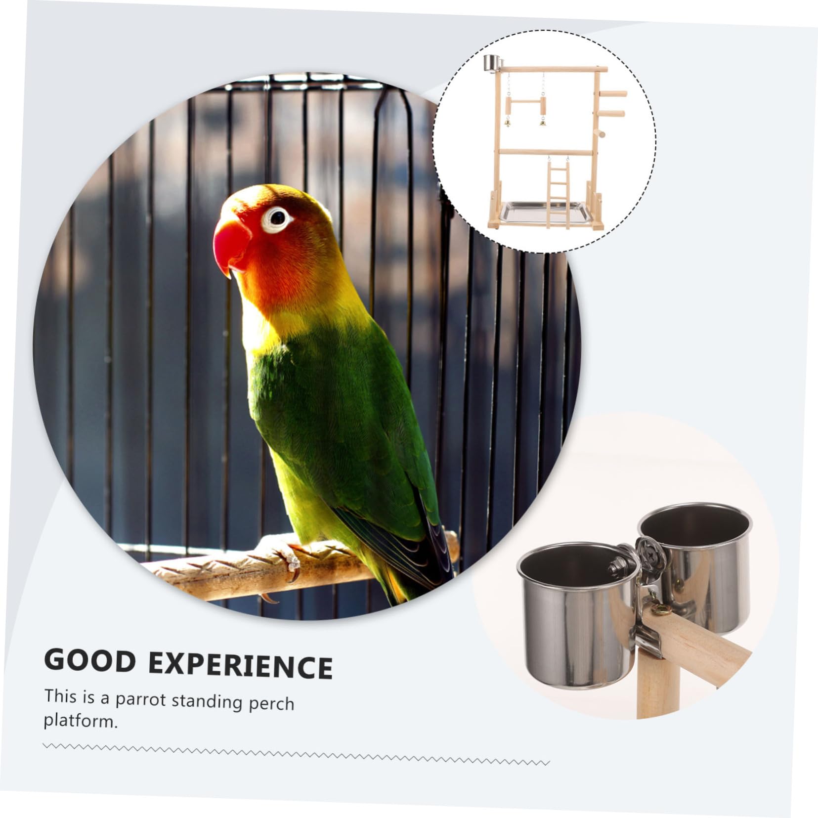 BESPORTBLE 1juego Perchero para Aves Área De Interactiva para Periquitos y Aves Pequeñas Soporte Estable y Seguro para Entrenamiento y Diversión Casa