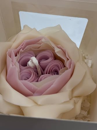 Candle The Rose by David Austin (White-Pink)