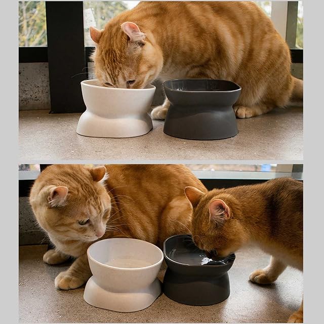 Foto 2 de 8 de Grbewbonx Platos para mascotas Cuencos con soporte para gatitos Perros pequeños Alimentos y cuenco de agua…