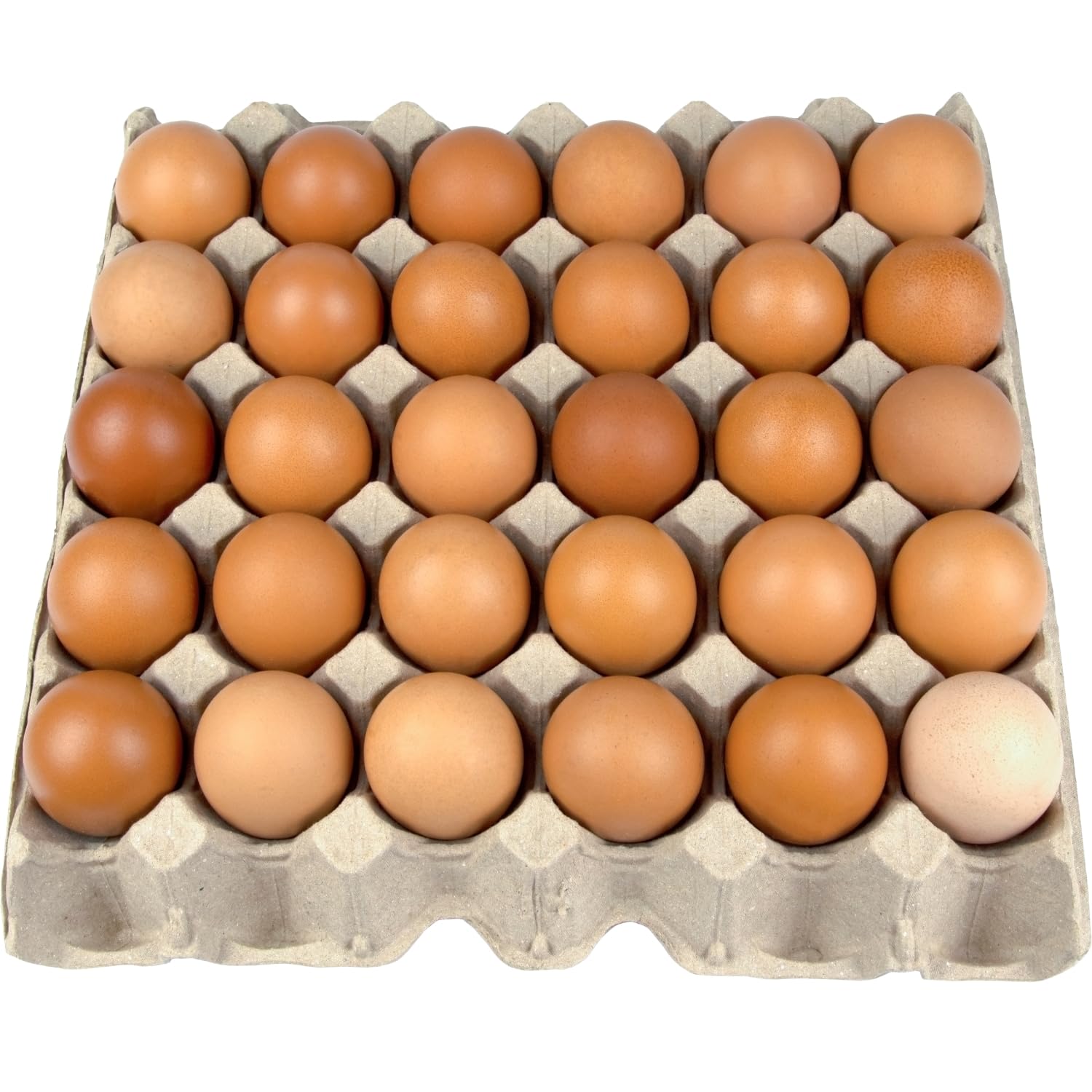 Frische Eier Freilandeier direkt vom Bauernhof Größe M 30 Stück natürlich gefüttert mit Mais und Naturfutter für vollmundigen Geschmack sicher verpackt Hühnereier 1740 gramm)