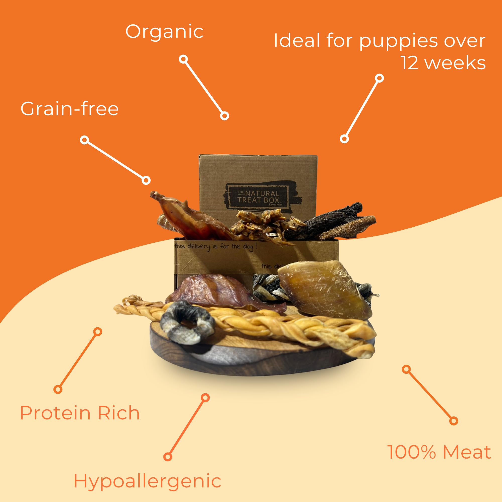 Dog & Field Mighty Meaty 20 Piece Natural Dog Treat Box, 100% Natural Dog Chews & Treats. Chicken Feet, Pig Ears, Fish Skin - Image 3