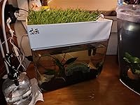 Review Image by Michael Michael