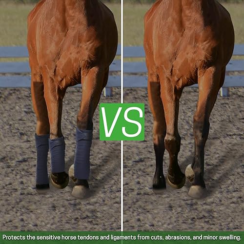 Miniatura 6 de ZELARMAN Juego de 4 envolturas de polo para piernas de caballo, bandas de forro polar para jinetes, equitación, entrenador de caballos