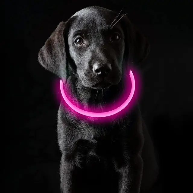 Collare Luminoso per Cani USB Ricaricabile LED Impermeabile, 3 Modalità Luce, Rosa