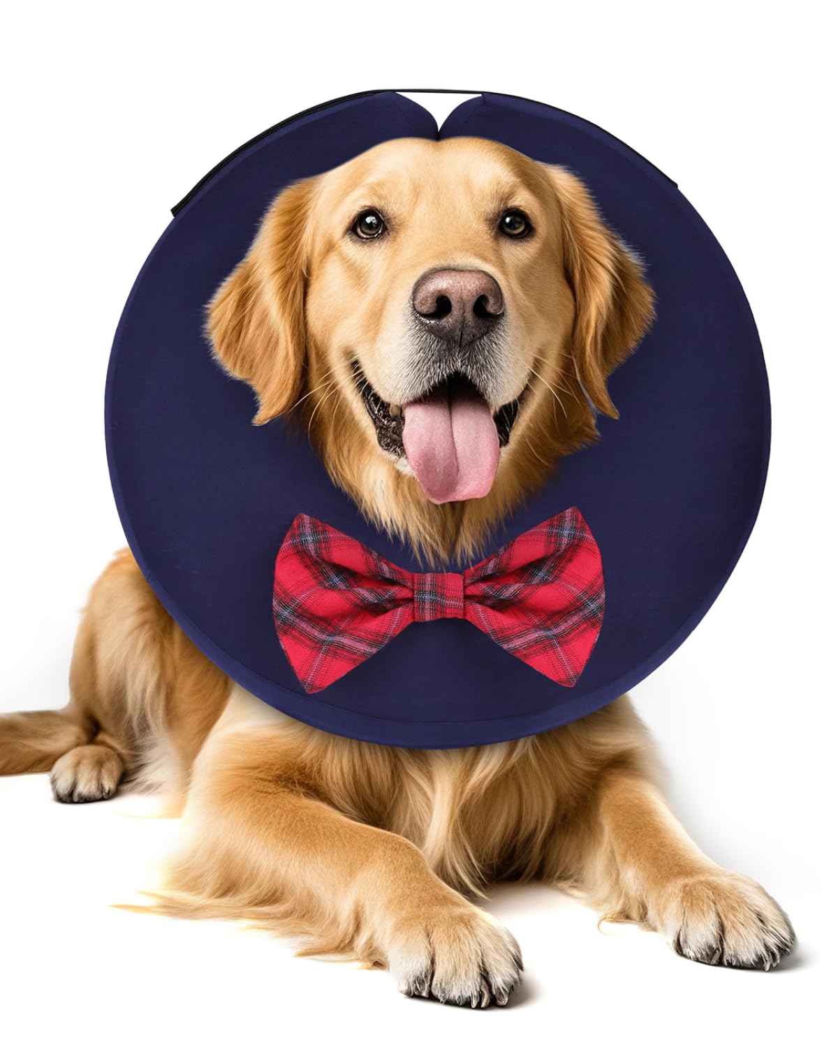 MIDOG Inflatable Dog Cone, Soft Donut Recovery Collar, Bow Tie, X-Large